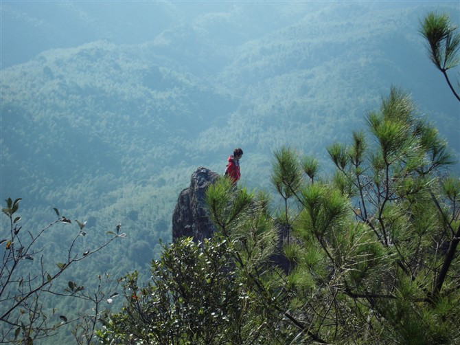 2010年宝山